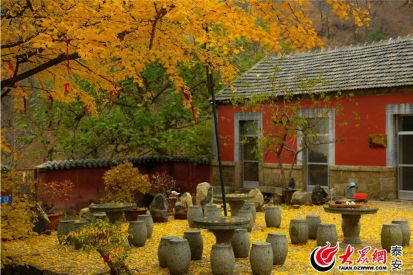 泰山景区门票降价，还有这些景区免费!一次购票，三日有效!