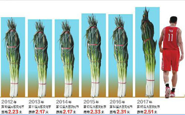 51米!章丘大葱比姚明高一头