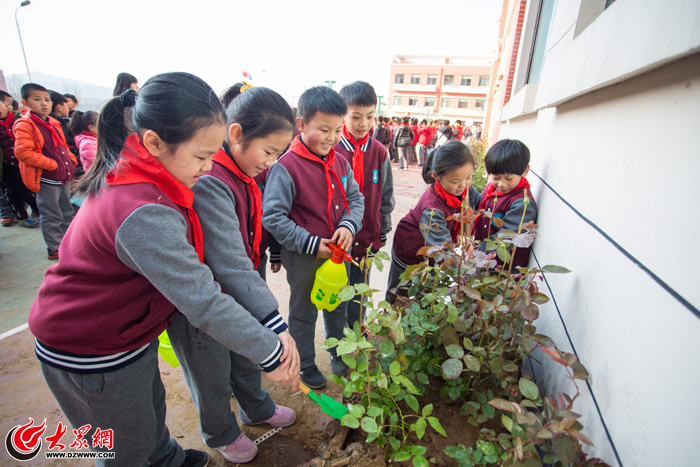 山东师范大学中建长清湖实验学校开展植树节活