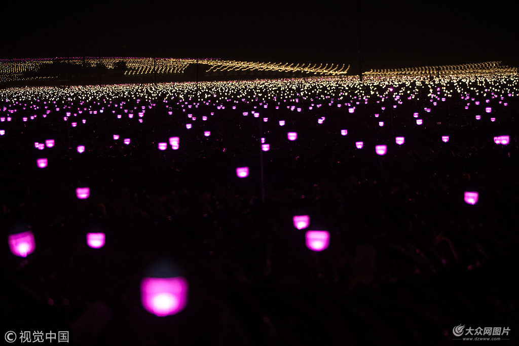 南宁:入夜后火龙果基地亮起数万盏灯 场面壮观