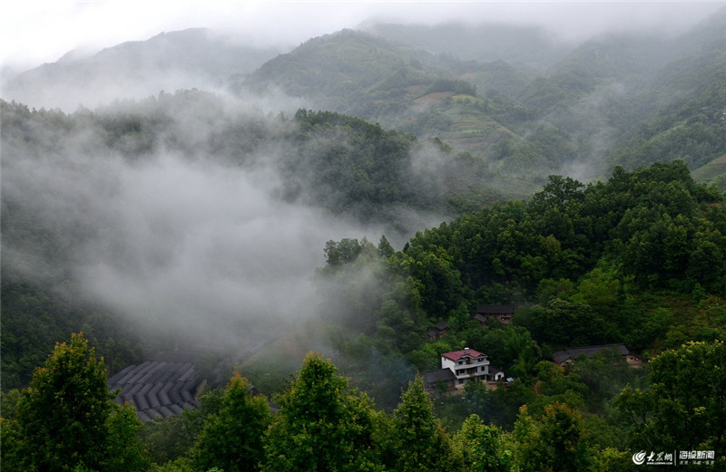 2019年07月18日,雨中的陕西省汉中市宁强县太阳岭镇火烽垭风光.