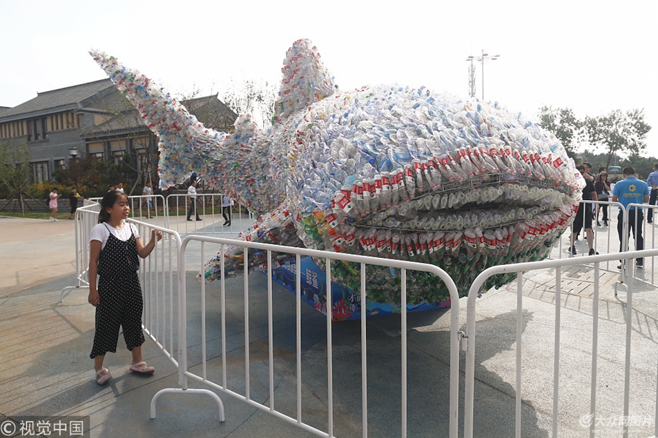 山东日照:四万个废旧塑料瓶变身9米长鲨鱼 呼