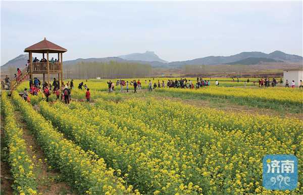 长清:为乡村振兴聚智加油