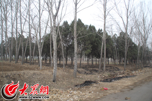 辛姓总人口_天津总人口曲线图