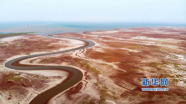 山東:鳥瞰黃河入海的地方