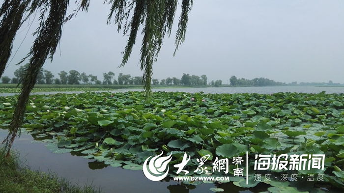济南市湿地公园规划总面积达1270799公顷