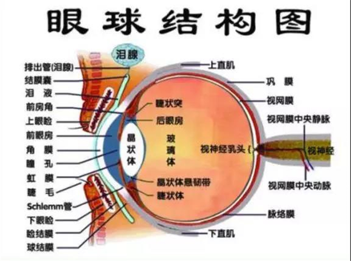 守护心灵的窗口历城区唐王镇中心小学开展全国爱眼日队活动