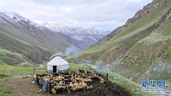 海拔3700米左右的拉依布拉克是新疆塔什库尔干塔吉克自治县大同乡