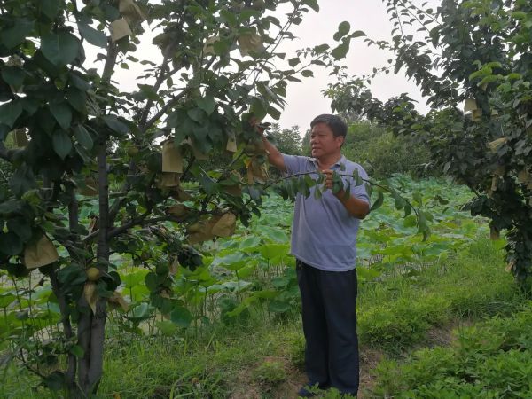 河北沙河市的人口和面积_河北邢台沙河市规划图(3)